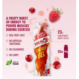 high 5 energy gel Berry
